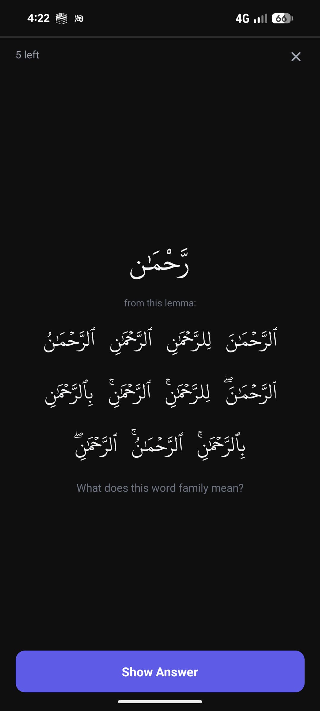 Flashcard asking what a word family means with a Show Answer button
