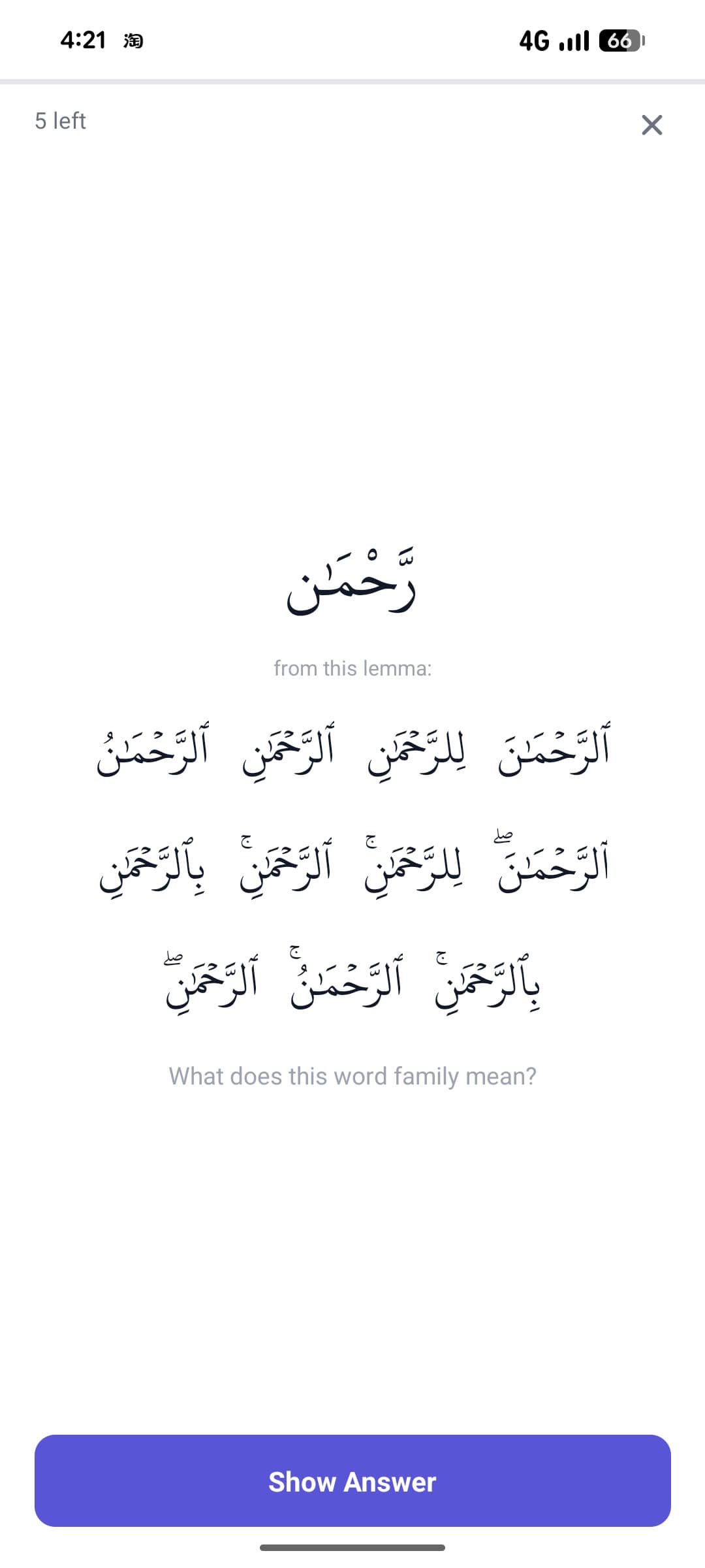 Flashcard asking what a word family means with a Show Answer button